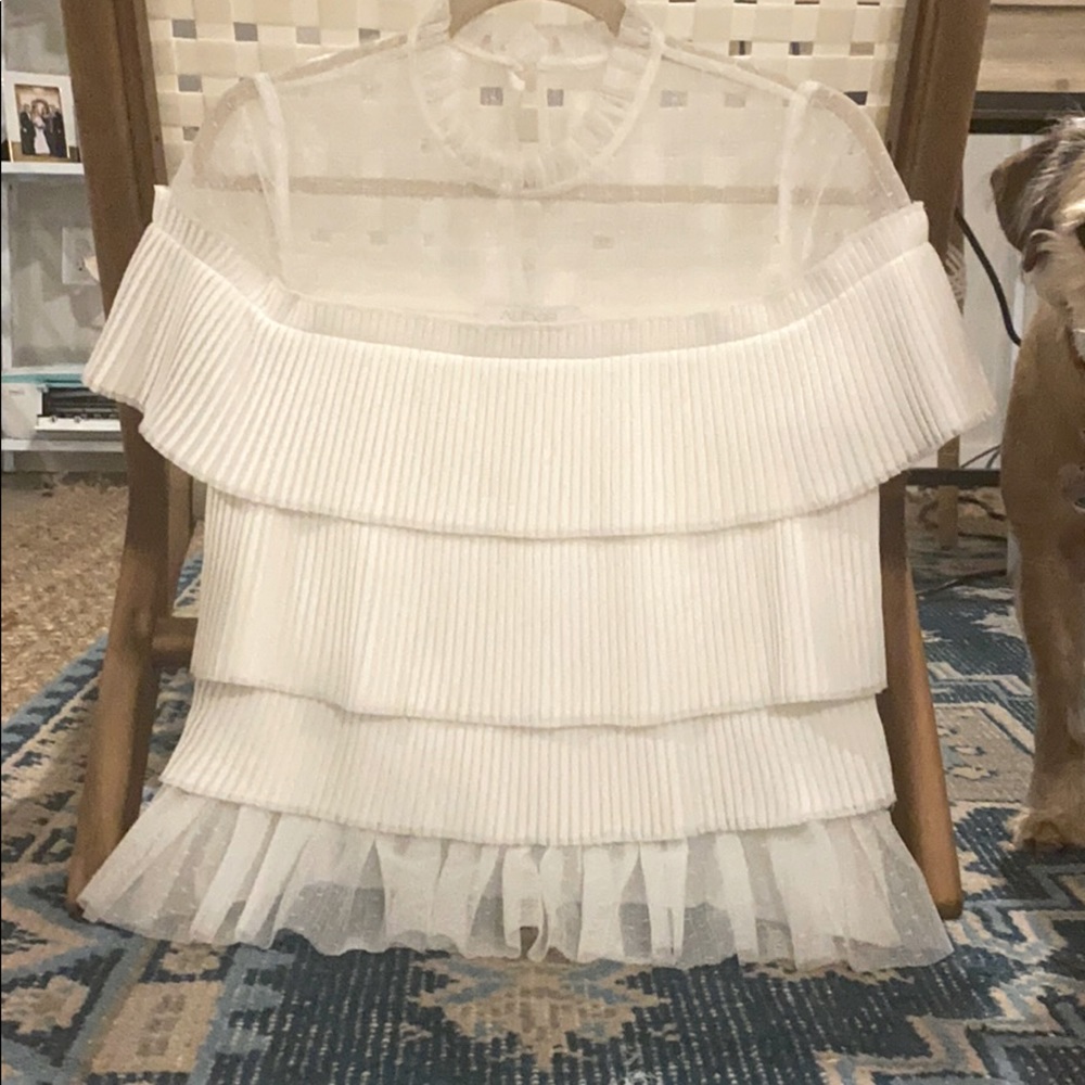 Alexis ruffle pleated top